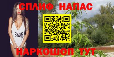 хмурый Краснознаменск