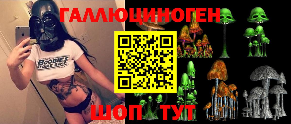Псилоцибиновые грибы мицелий Кировск